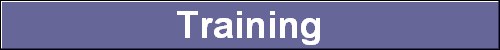  Training 